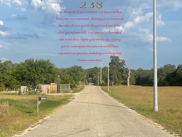 238 by Matthew R Jablonski