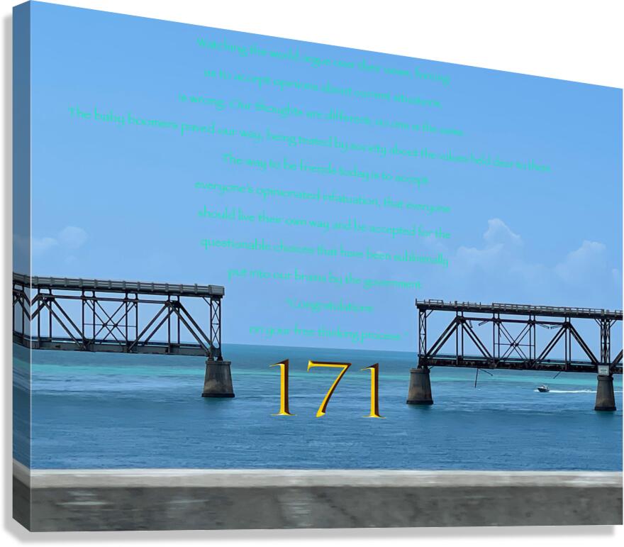 171 Canvas Print