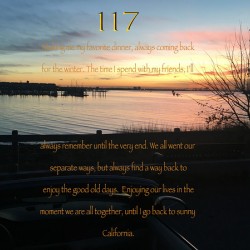 117
