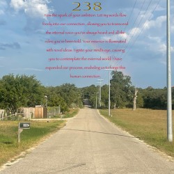 238