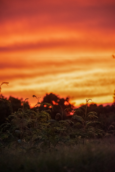 Sunset 0271 Print