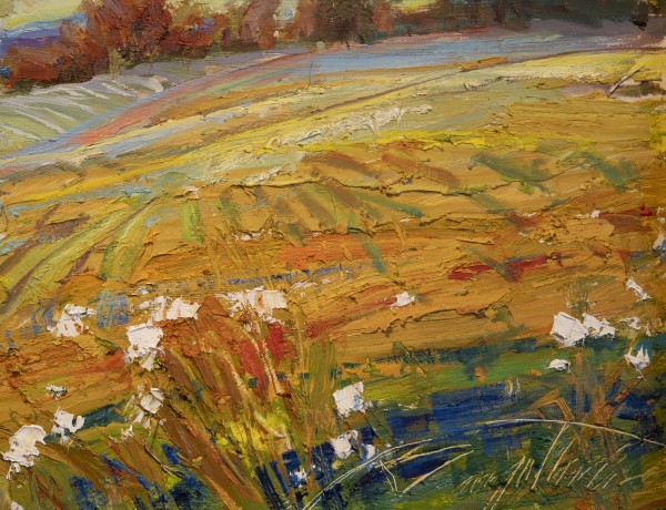 Sunny Field - Barry Thomas by OWNR Art Collective