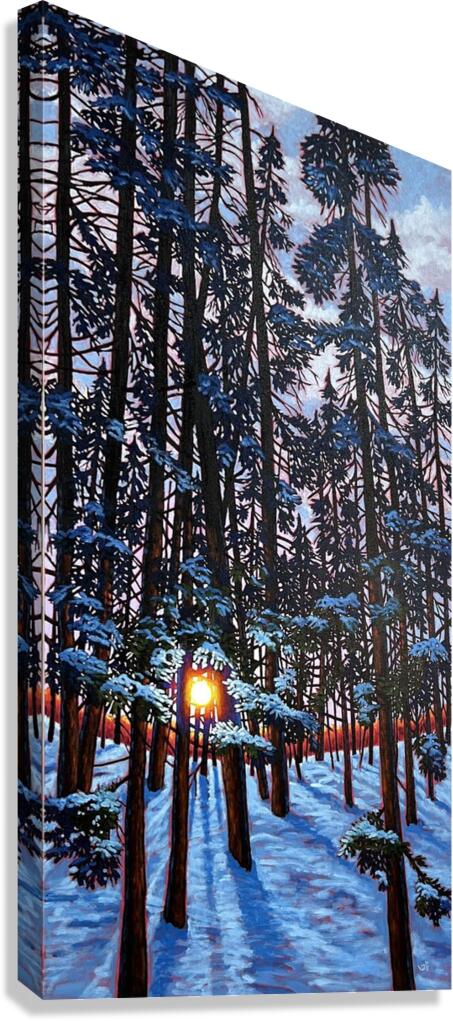 Ravine Glow Canvas Print