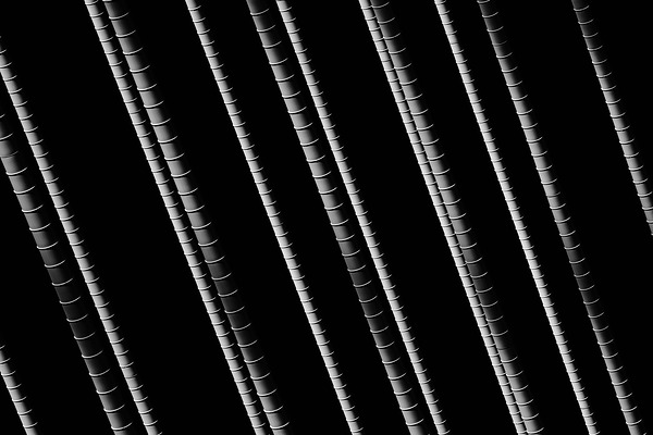  DSF0196 Print