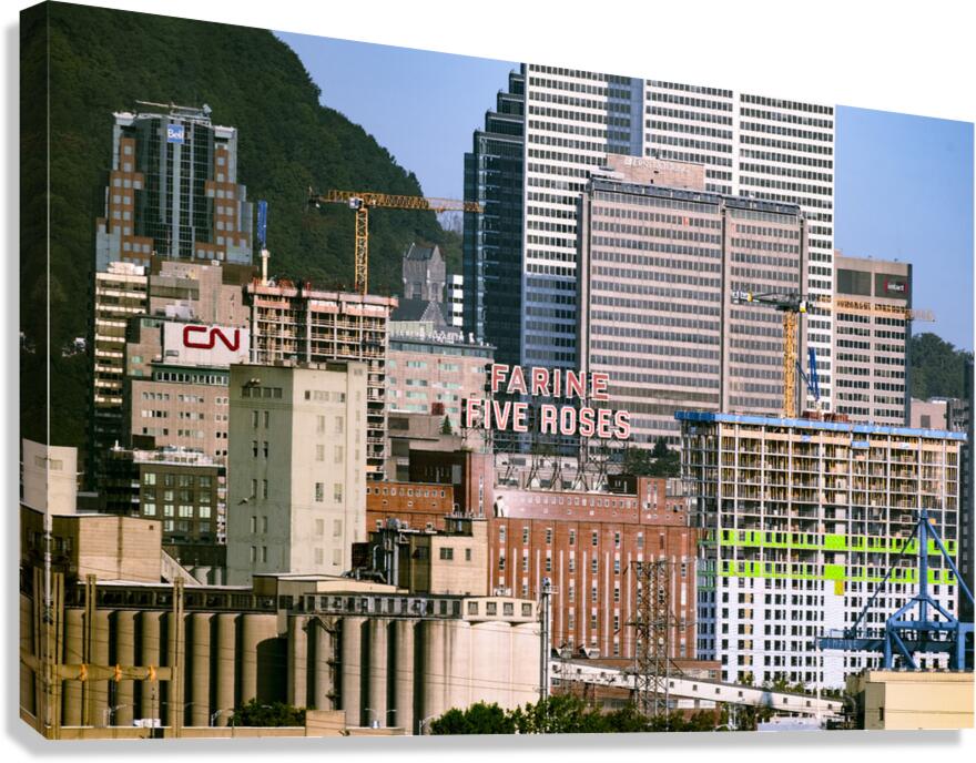  DSF0116 Canvas Print