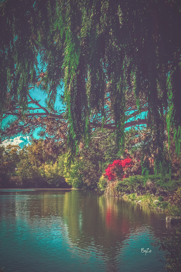 Autumns Palette: Evergreen Pines and Vibrant Perennials by the Reflective Lake Print