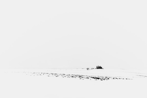 Blizzard Landscape Print