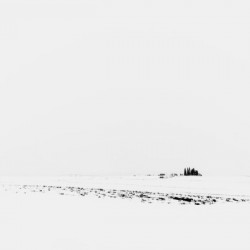 Blizzard Landscape