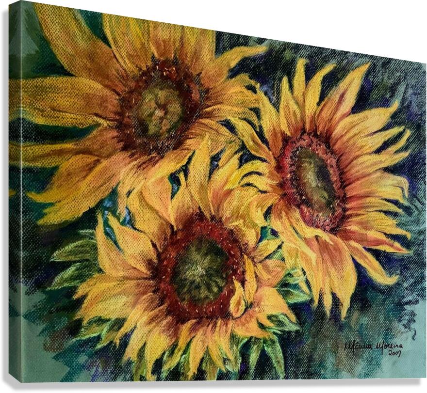 Sunflower Canvas Print