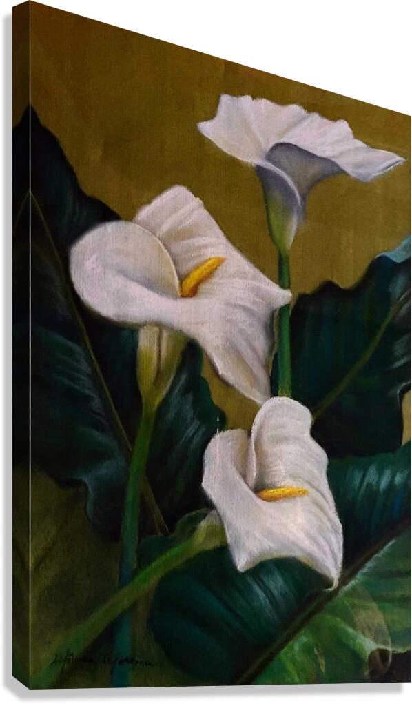 Lily Canvas Print