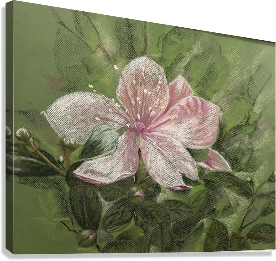 Blossom Canvas Print