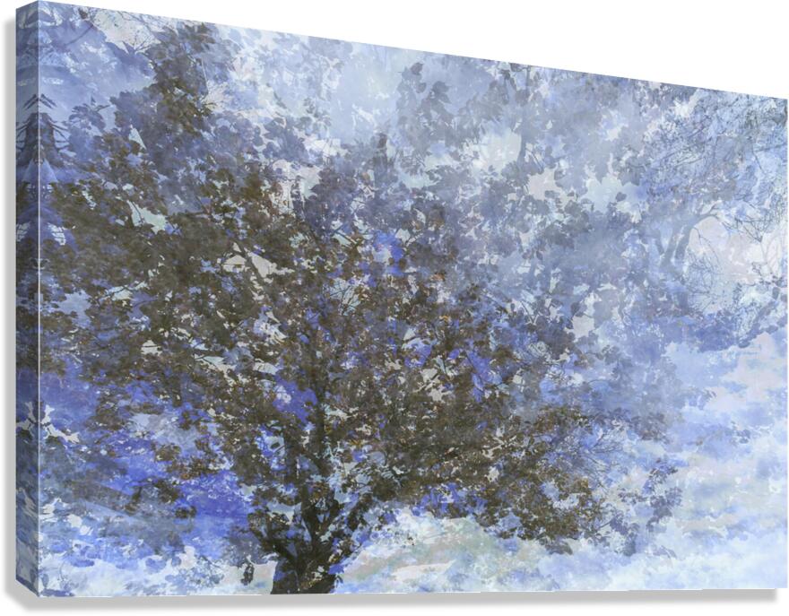 TREE Canvas Print