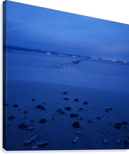 Arcata Marsh Canvas Print