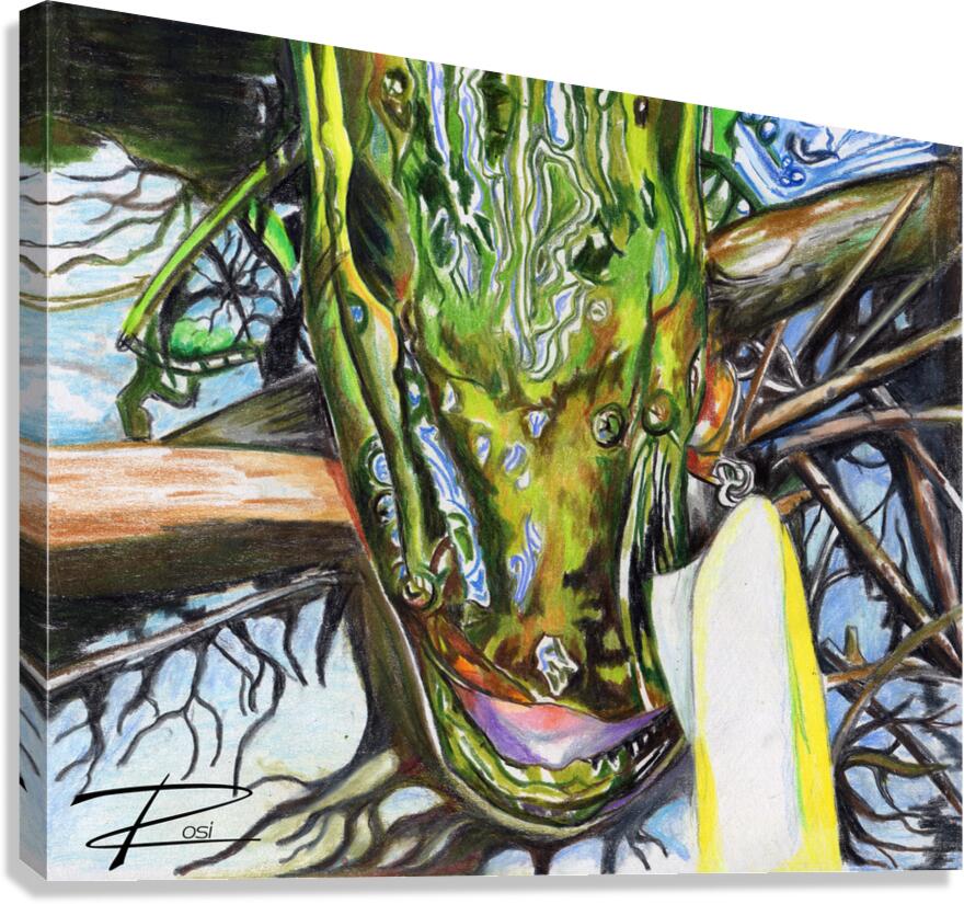 Pike V Canvas Print