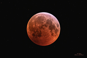 2019 Lunar Eclipse