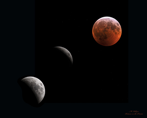 2019 Lunar Eclipse Phases