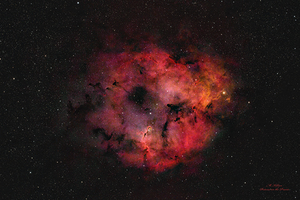 Elephant Trunk Nebula