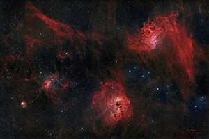 Flaming Star Nebula 