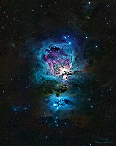 Orion Nebula 
