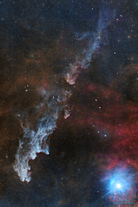 Witch Head Nebula vertical