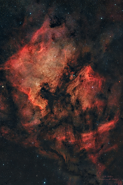 North American  Pelican Nebulae Wide Field Print