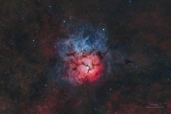 Trifid Nebula Print