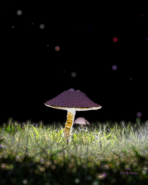 Sporesville U.S.A. by E. Farmer & M. Killion Print