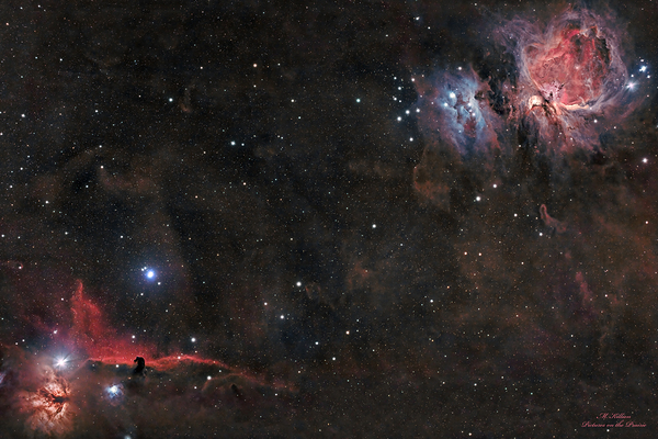 Orion & Horsehead Nebulae Print