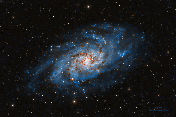 Triangulum Galaxy Print