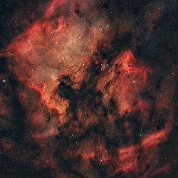 North American  Pelican Nebulae Wide Field
