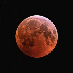 2019 Lunar Eclipse