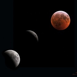 2019 Lunar Eclipse Phases