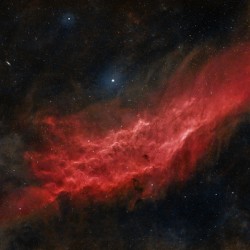 California Nebula 