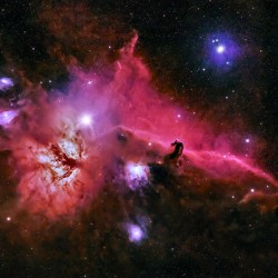Horsehead Nebula 