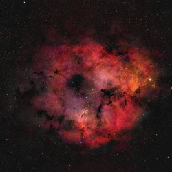 Elephant Trunk Nebula