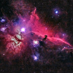 Horsehead Nebula