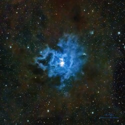 Iris Nebula