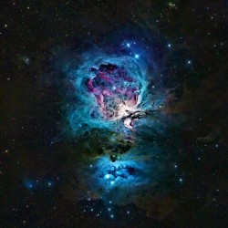 Orion Nebula 