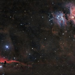 Orion & Horsehead Nebulae