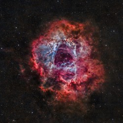 Rosette Nebula