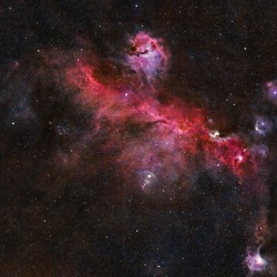 Seagull Nebula 