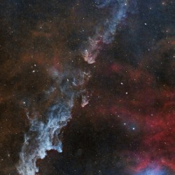 Witch Head Nebula vertical
