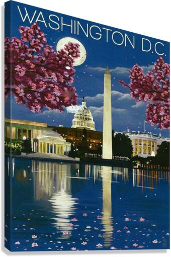 Washington DC Canvas Print