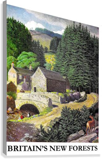 New Forests Canvas Print