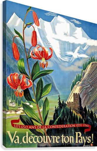 French alps Canvas Print