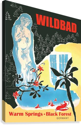 Wildbad Canvas Print
