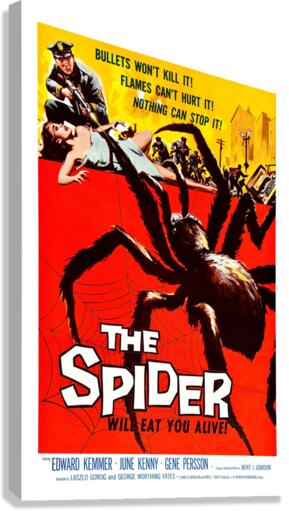 The Spider Canvas Print