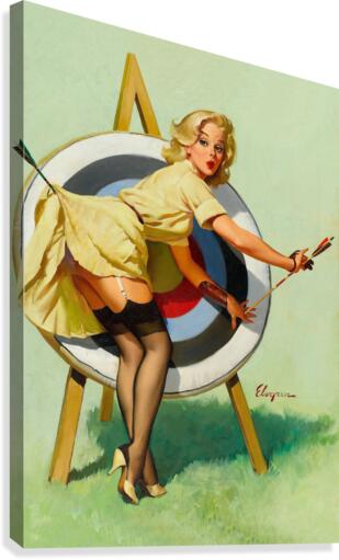 Target Canvas Print