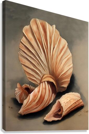 Seashell Canvas Print