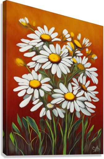 Camomiles  Canvas Print